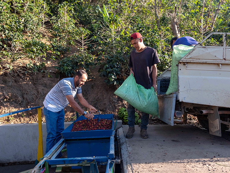 2 Costarica Finca Las Nubes