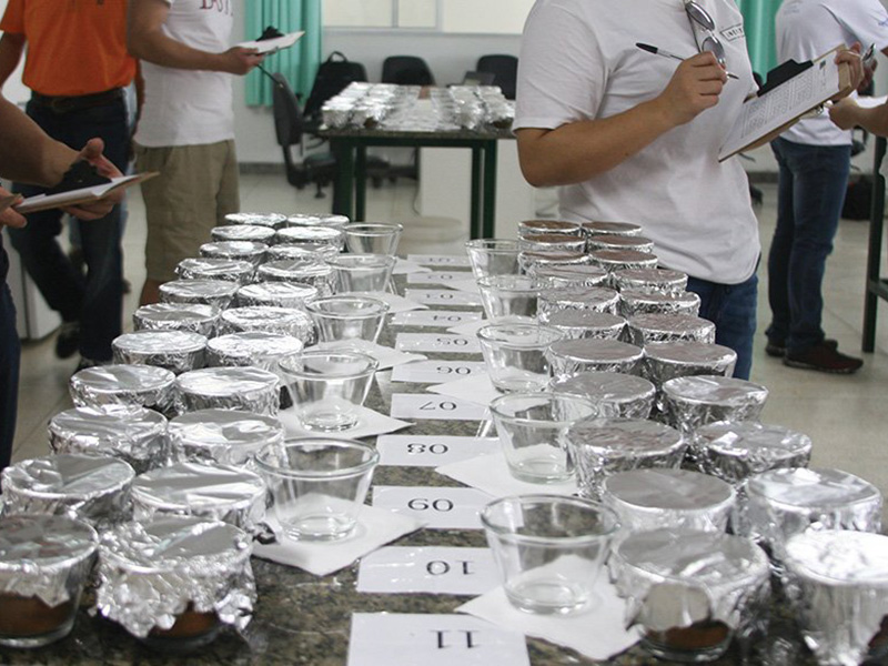 Brasil Conilon Fazenda Venturim - la Tosteria (4)